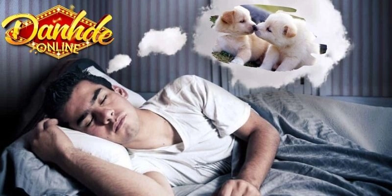 Giải mã các giấc mơ về chó