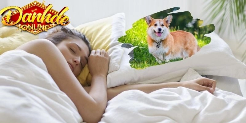 Việc mơ thấy chó đánh con gì đã trở thành một nét văn hóa dân gian